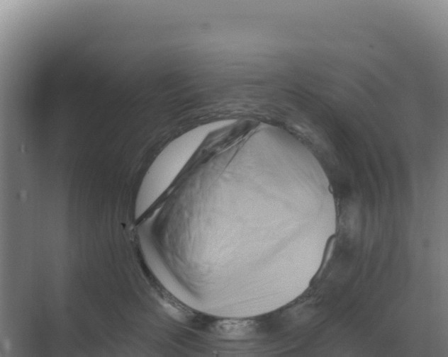 X0000068860526200606021804
