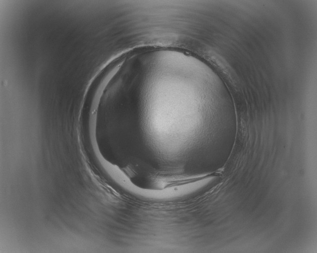 X0000068860532200606021803