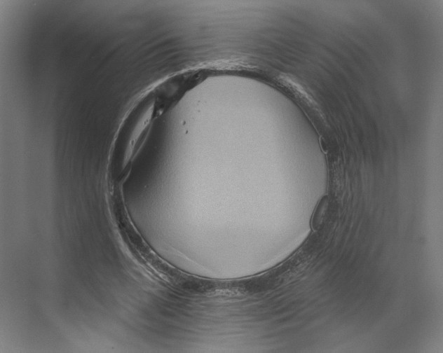 X0000068860536200606021803