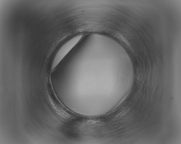 X0000068860542200606021803
