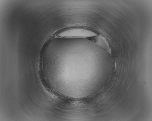 X0000068860544200606021803