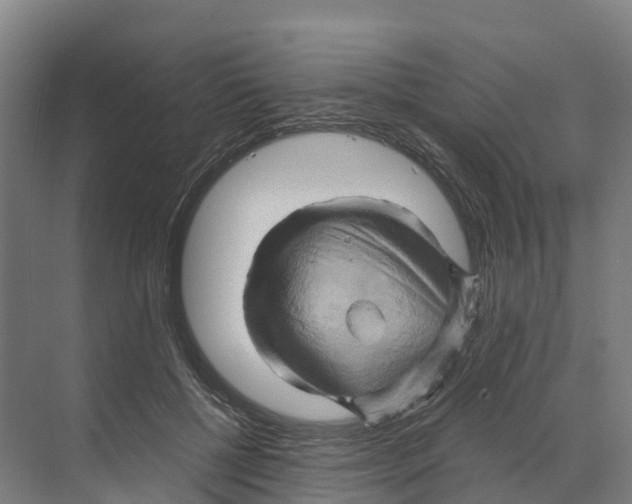 X0000068860552200606021803