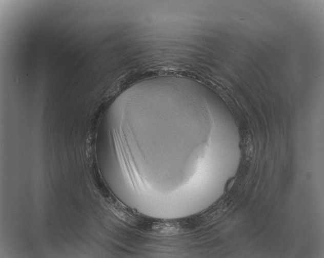 X0000068860559200606021803