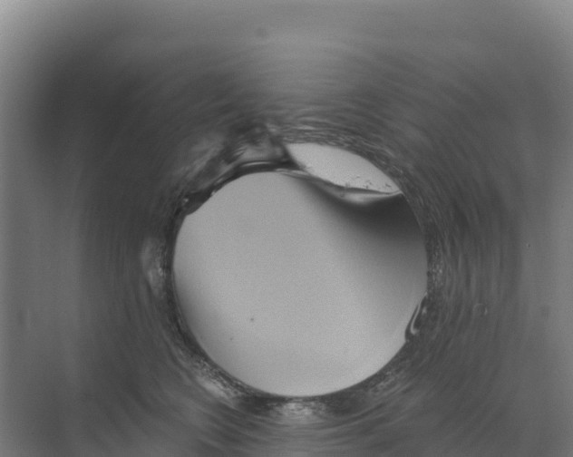 X0000068860566200606021804