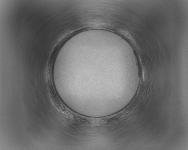 X0000068860579200606021803