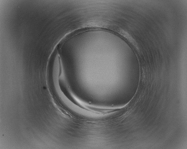 X0000068860580200606021803