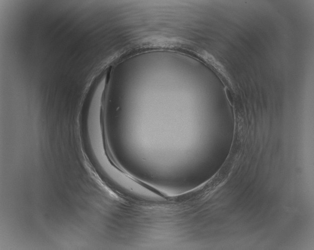 X0000068860581200606021803
