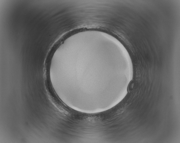 X0000068860584200606021803