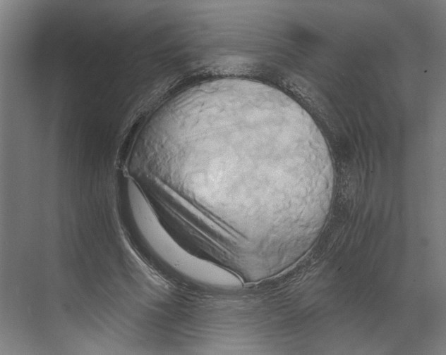 X0000068860586200606021803