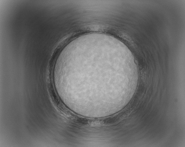 X0000068860587200606021803