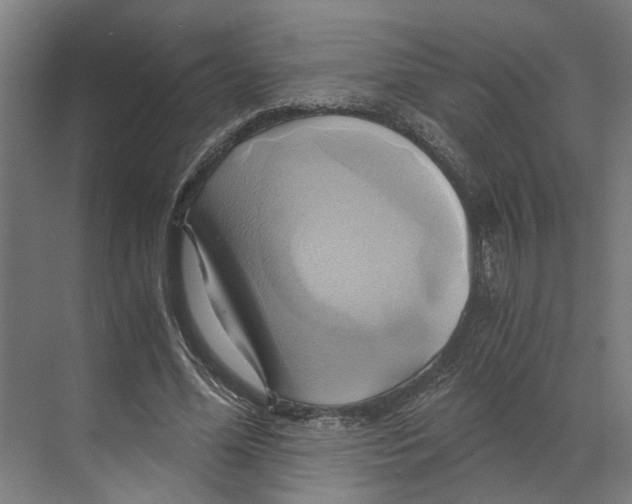 X0000068860588200606021803