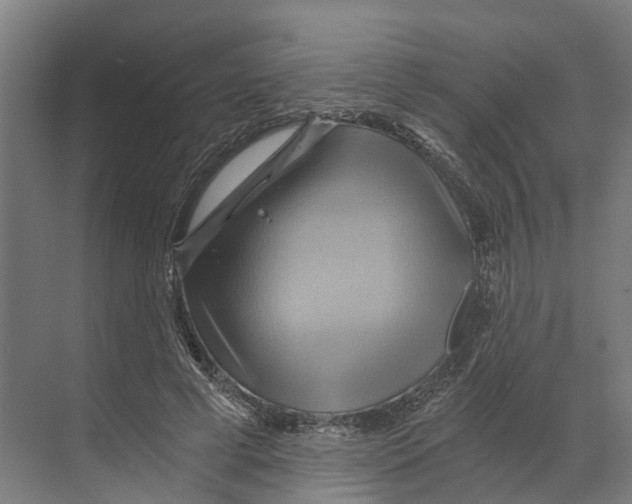 X0000068860593200606021803