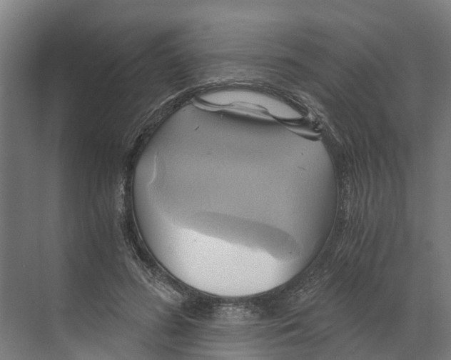 X0000068860596200606021803