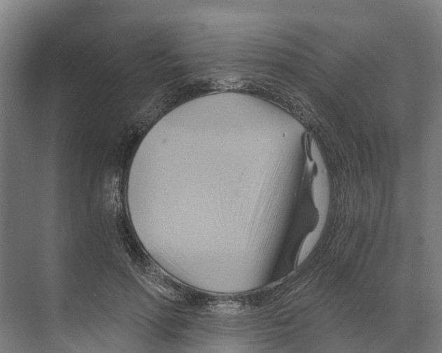 X0000068860598200606021803