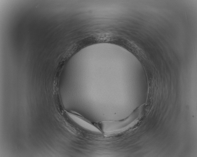 X0000068860601200606021803