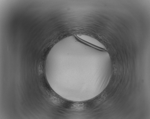 X0000068860606200606021802