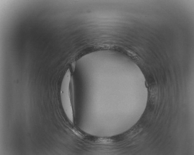 X0000068860617200606021802