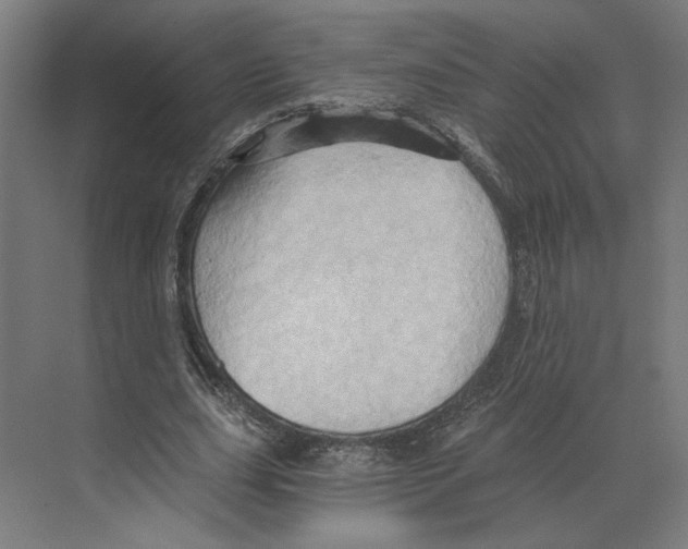 X0000068860631200606021801