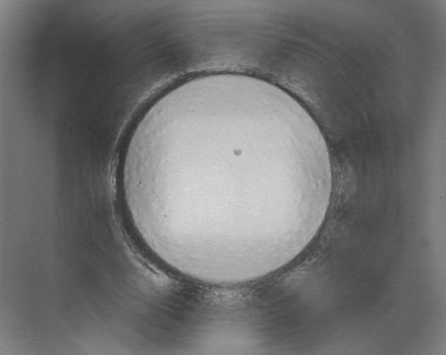 X0000068860632200606021801