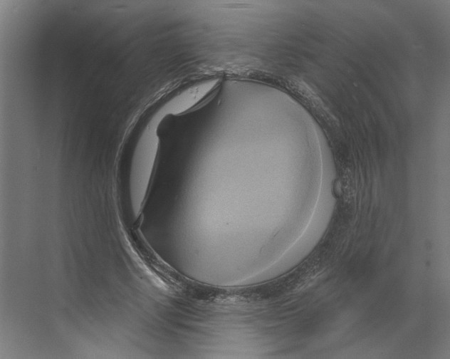 X0000068860634200606021801