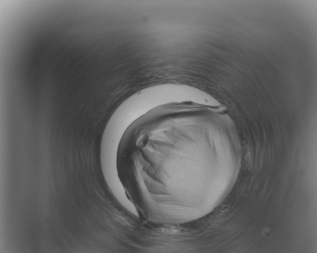 X0000068860668200606021802