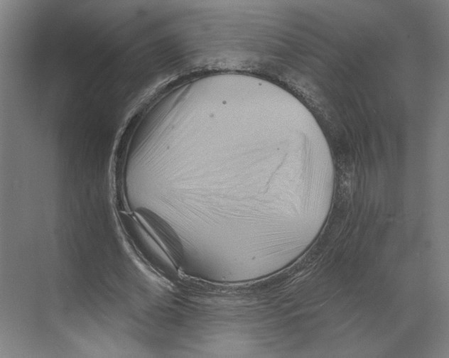 X0000068860678200606021801