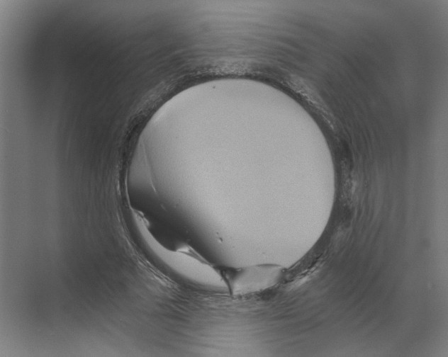 X0000068860681200606021801