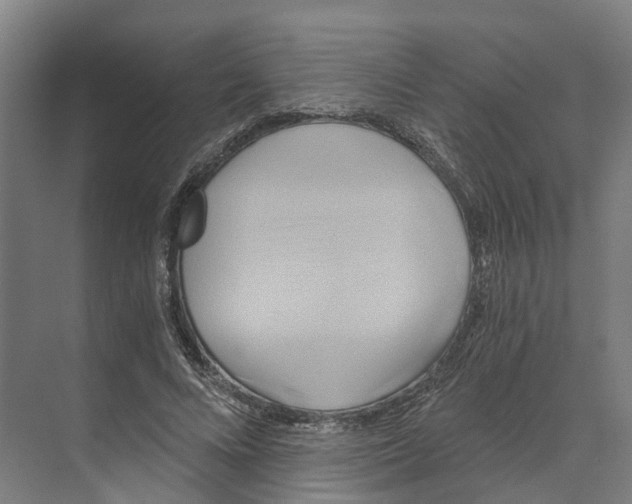X0000068860688200606021801