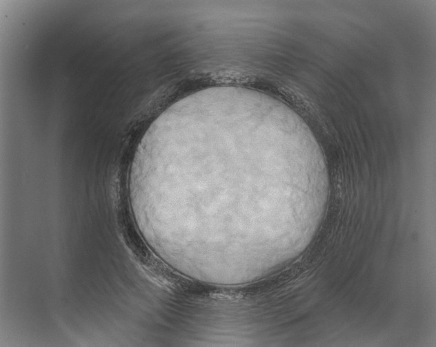 X0000068860690200606021801