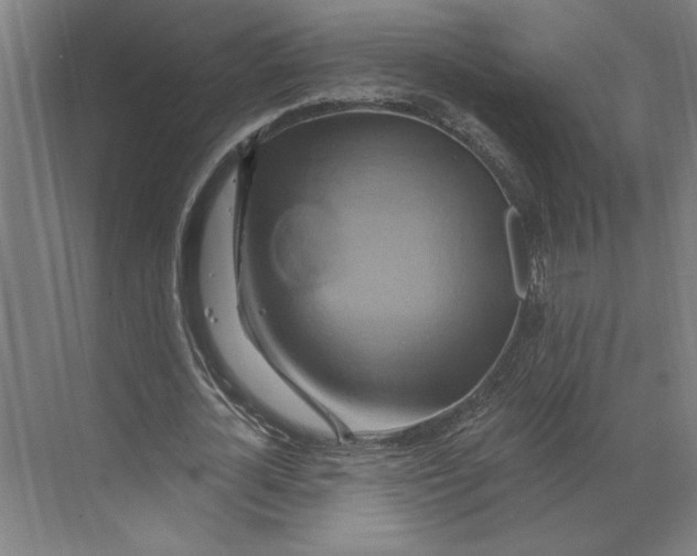 X0000068860724200606021800