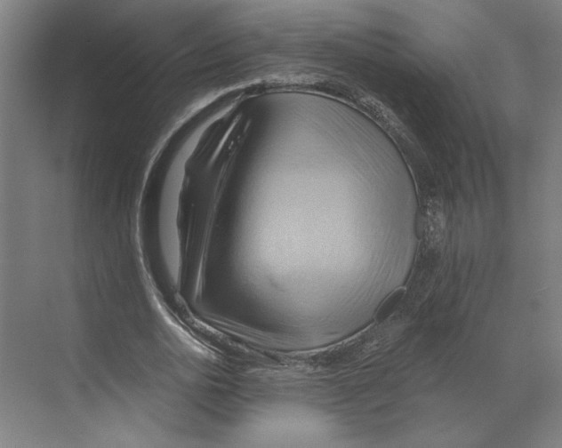 X0000068860726200606021800
