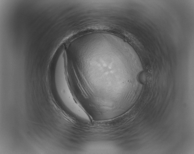 X0000068860727200606021800