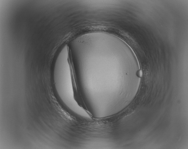 X0000068860729200606021800