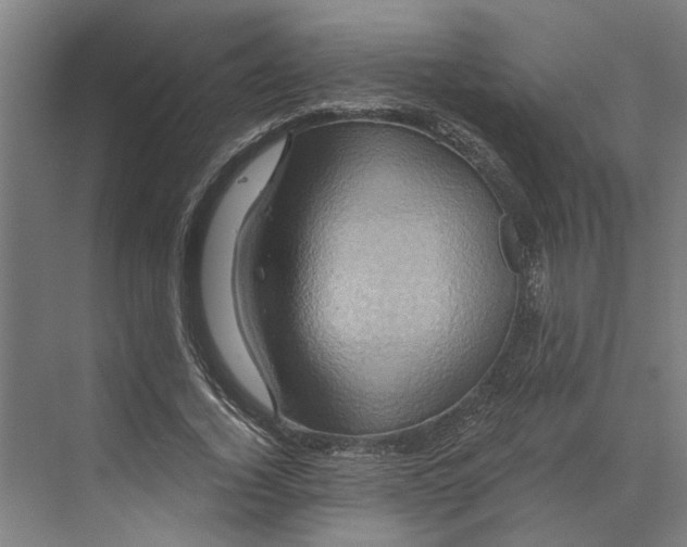 X0000068860732200606021800