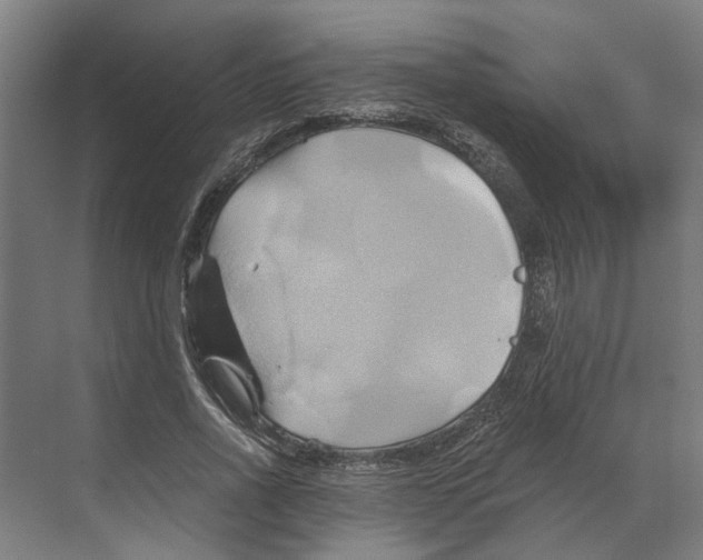 X0000068860734200606021800