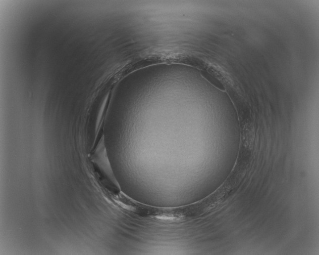 X0000068860740200606021800