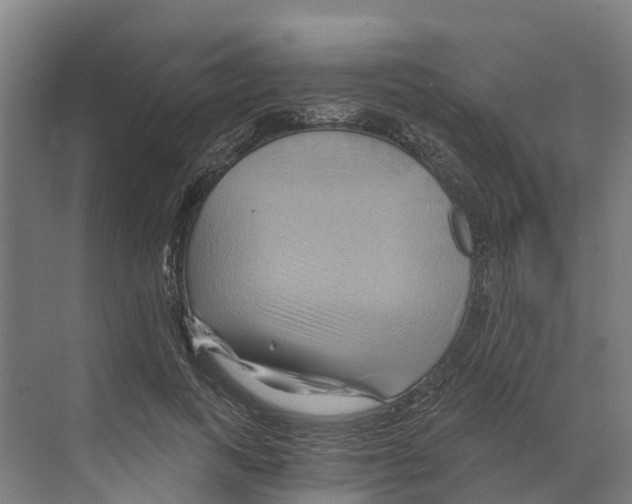 X0000068860743200606021800