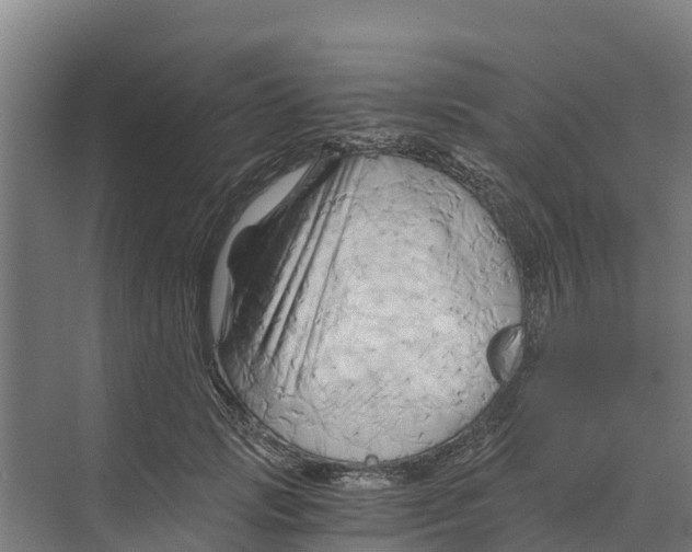 X0000068860749200606021800