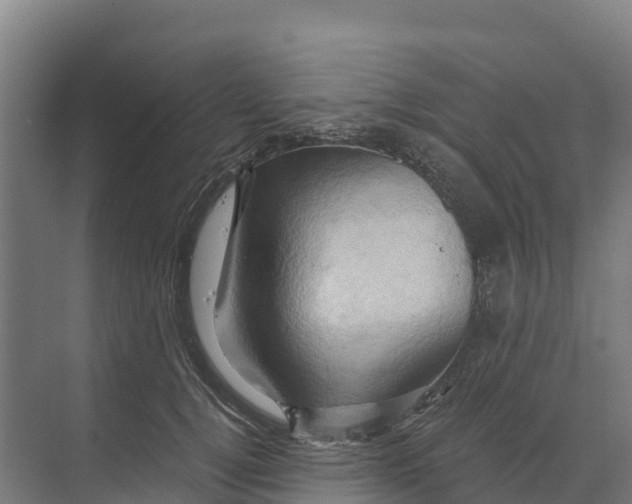 X0000068860752200606021800