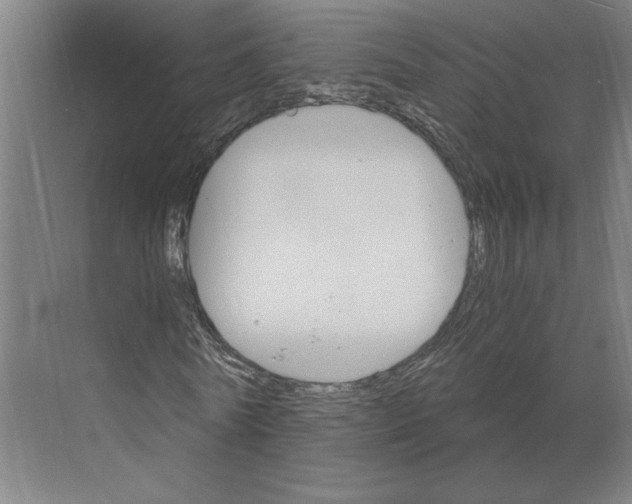 X0000068860770200606021800