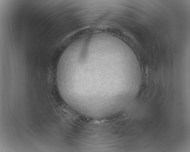 X0000068860773200606021800