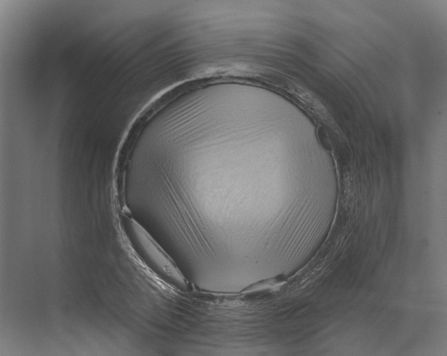X0000068860784200606021759