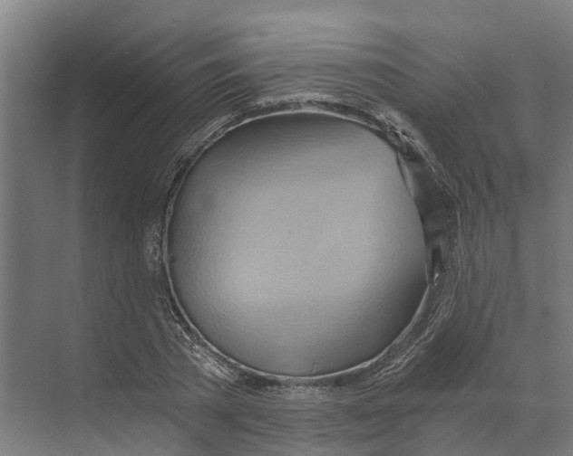 X0000068860785200606021759