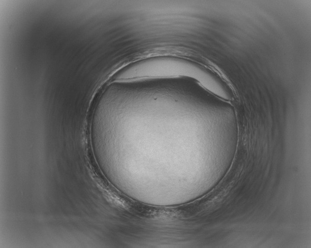 X0000068860786200606021759