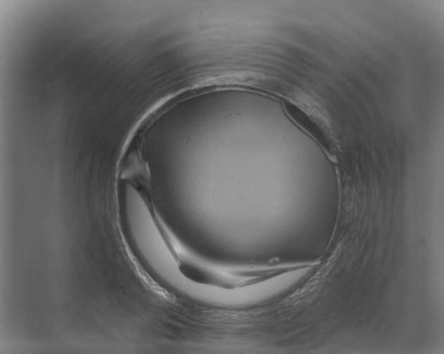X0000068860792200606021759
