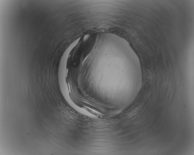 X0000068860818200606021758