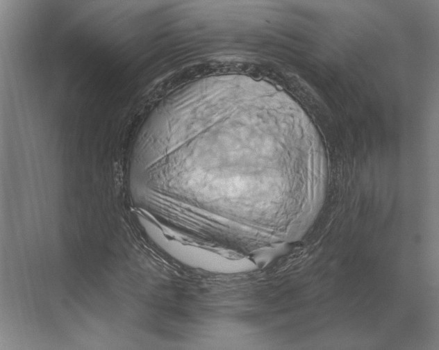 X0000068860821200606021758