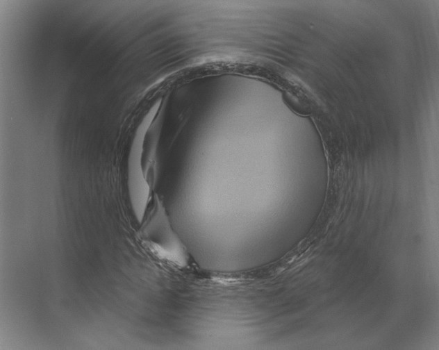 X0000068860822200606021758