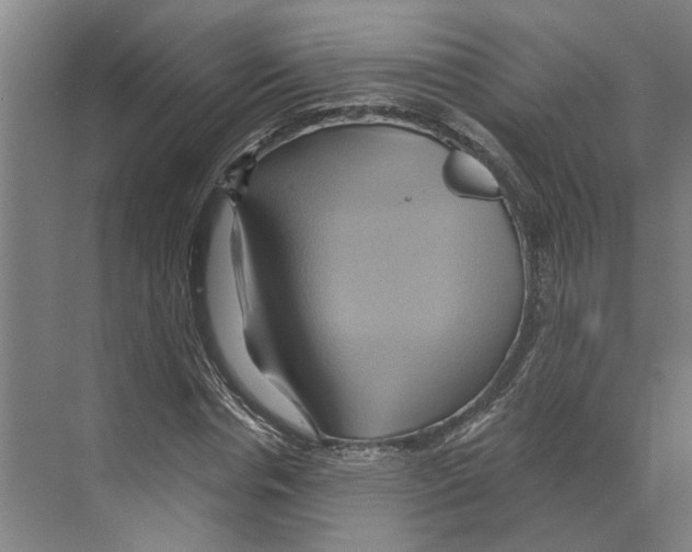 X0000068860826200606021758