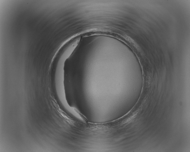 X0000068860830200606021758
